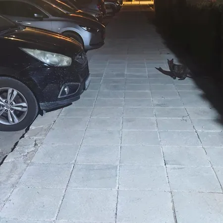 Sunset 02 Lägenhet Paphos