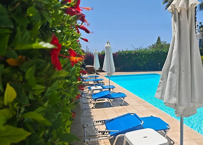 Sunset 02 * パ フォス