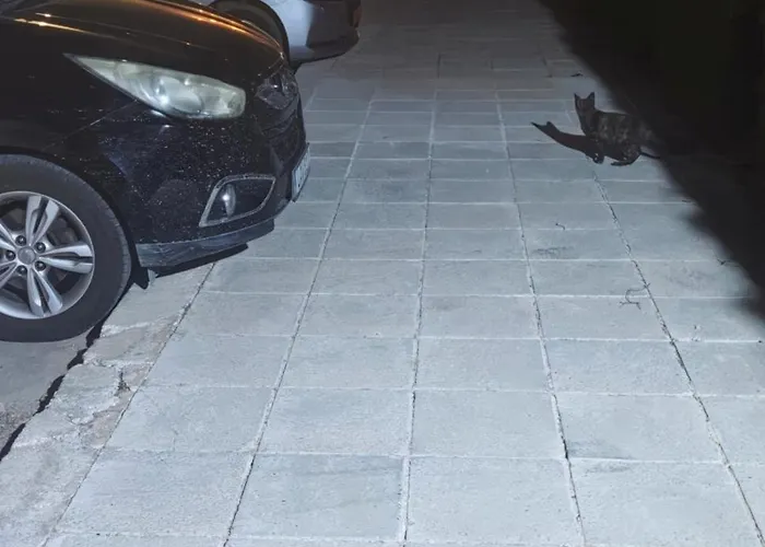 Sunset 02 Апартаменты Пафос